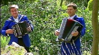 Ruggero Passarini e Roberto Scaglioni - MERAVIGLIOSO