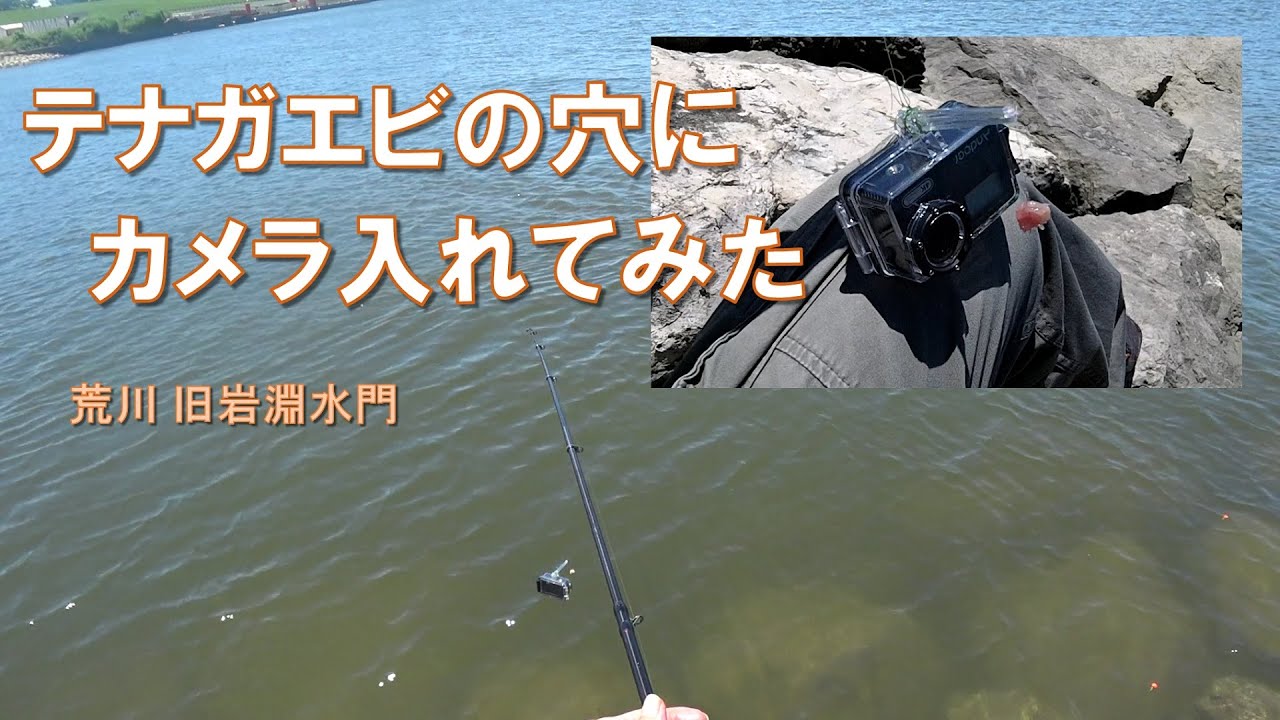 テナガエビ釣り 荒川 旧岩淵水門の出島は エビ穴天国 健啖隊ネット隊員 Y Katsu Youtube