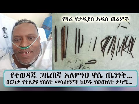 ቪዲዮ: የሩሲያ የአጥንት ማሰሪያ - የከሆልሞጎሪ ጌቶች ዋና ሥራዎቻቸውን እንዴት እንደፈጠሩ