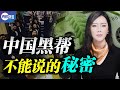 【有彩蛋】💥中國黑幫掌控着北美海洛因市場! 中共權貴如何轉移巨額資產, 催生無數犯罪活動, 而加拿大是一切行動的中心！真觀點 | 真飛【第134期】【20210623】