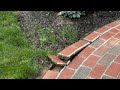 Brick repair.Richer Rich is live! #subscribe #please#construction #job#fun#fix #home ##entertainment