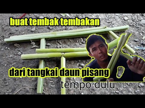  cara  membuat  tembak tembakan dari  tangkai daun  pisang  