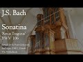 Js bach  sonatina from bwv 106  reil organ ermelo hauptwerk