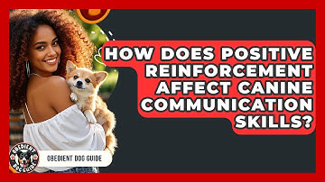 How Does Positive Reinforcement Affect Canine Communication Skills? | Obedient Dog Guide