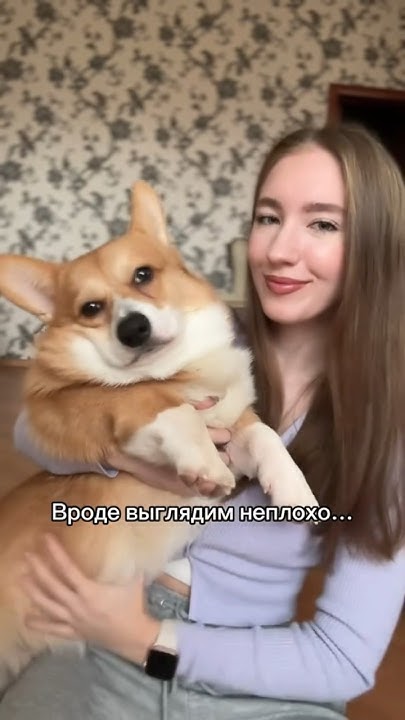 Наш любимый воск для лап Вб: 217883790 #собаки - YouTube