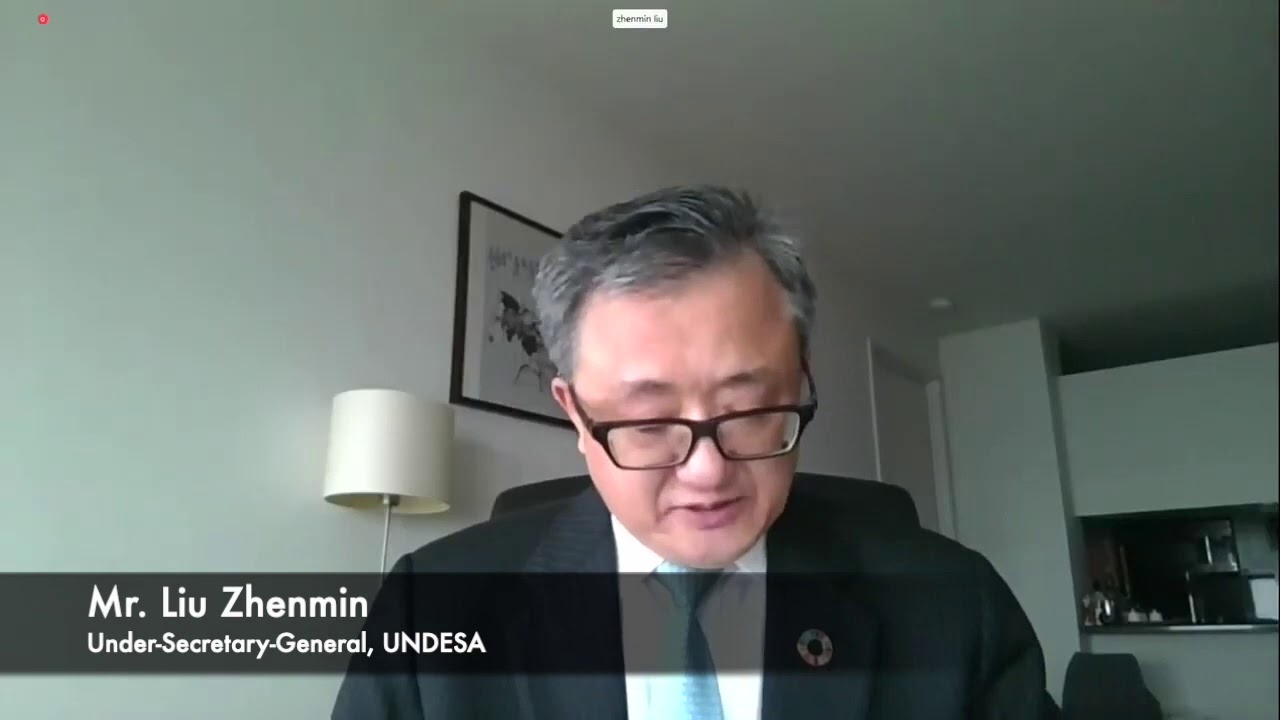 Opening Remarks  USG Liu Zhenmin UNDESA