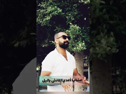 أنا أول ما بشوفها يا ليل قلبي بيرقص دانس يا ليل