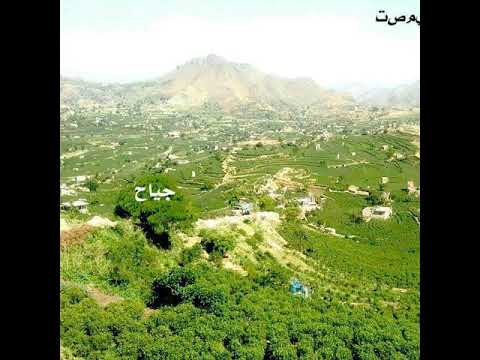 اجمل منظر حجه افلح اليمن جياح 