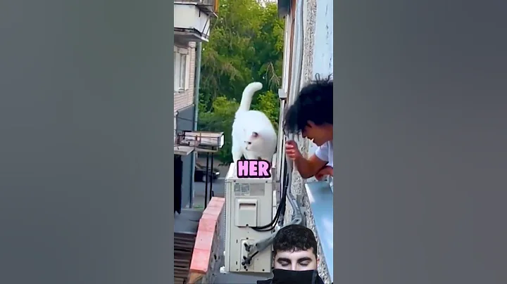 Video 11357531: cat cuddling, cat girl