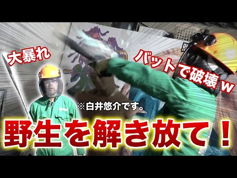 【暴走】 声優・白井悠介、野性に目覚める