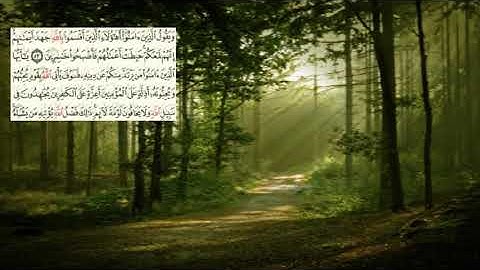 صفحة-117 page سعد الغامدي - -سورةالمائدة -Al-Maidaa