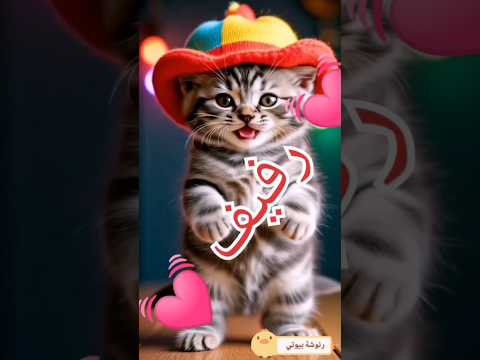 الاسم الأكثر طلبا رفيف الحلوة رفيف