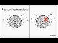 Apraxia, Agnosia, and Frontal Lobe Executive Functions