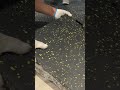 Gym Floor Mats Installation