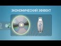 Презентация Chameleon Evolution