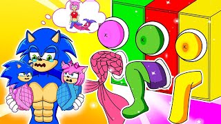 Amy, Where Are You? - Please Don't Choose the Wrong Challenge - Sonic the Hedgehog 2 Animation