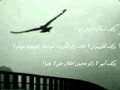 دماء بريئة 