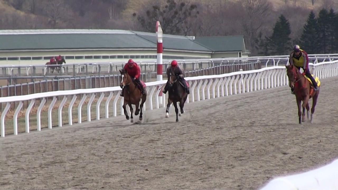サムライドライブ 所属馬 グリーンファーム愛馬会