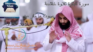 سورة البقرة تلاوة خاشعة صوت مزمار من مزامير داوود