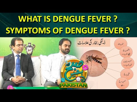 What is dengue fever ? symptoms of dengue fever ? Expert Doctors opinion on Roze News