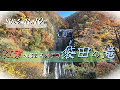 紅葉の深まる大子町袋田の滝(2025年11月10日) - YouTube 紅葉の深まる大子町袋田の滝(2025年11月10日) - YouTube