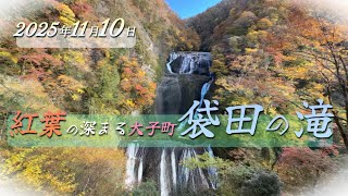 紅葉の深まる大子町袋田の滝（2025年11月10日） - YouTube