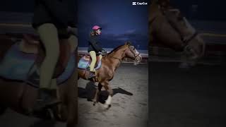 Im Mildly Very Obsessed With This Edit And Song Rn