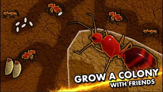 Ants ROBLOX #7