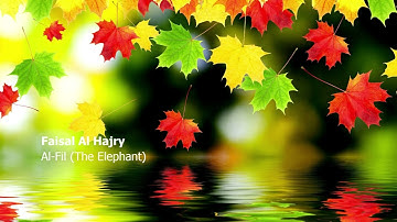 Faisal Al Hajry 105 Surah Al Fil The Elephant فيصل الهاجري سورة الفيل