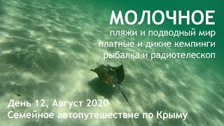 Что поразило в Молочном? Отдыхаем дикарем в Крыму! День 12. Семейное автопутешествие 2020.