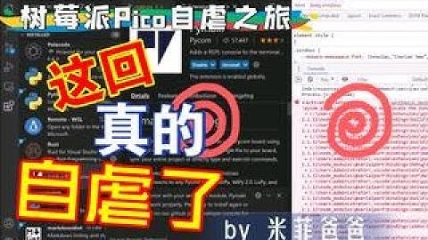 树莓派Pico自虐之旅 - 开机吓一跳，真虐了