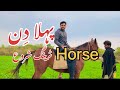 Horse riding || horse training || first day) horse racing ||imran shah official