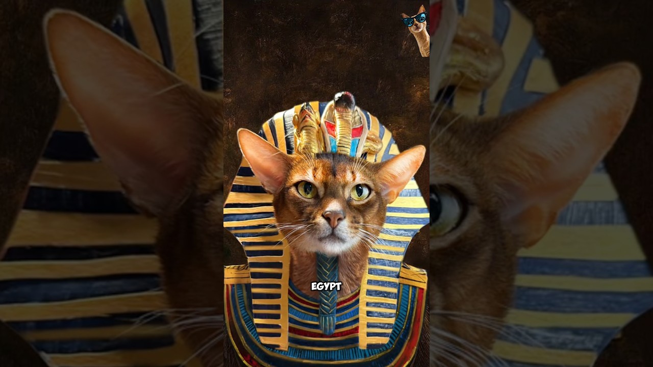 The Role of Cats in Ancient Cultures 