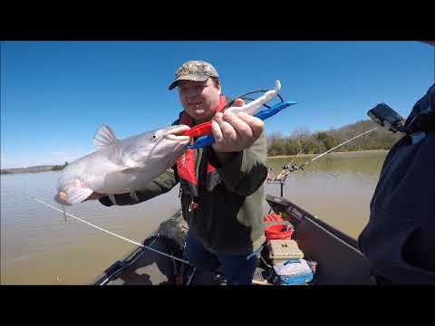 Video: ¿Cómo llevar un shadbelly?