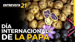 DÍA INTERNACIONAL DE LA PAPA: Perú cultiva 4 mil variedades de papa