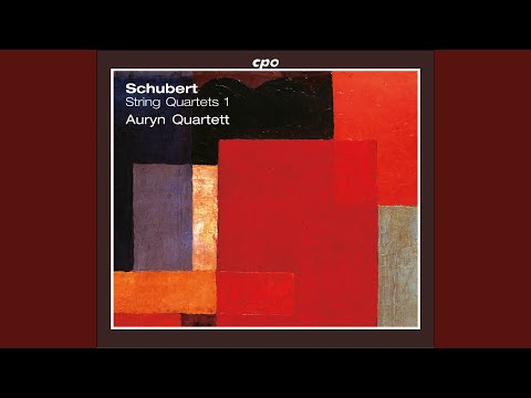 YouTube पर 5 German Dances and 7 Trios with Coda, D. 90: No. 3, Deutsche and Trio in D Major देखें