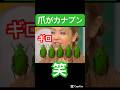 爪がカナブン🤣#モーニング娘#中澤裕子#ハロプロ#ハロヲタ#懐かしい#うたばん#石橋貴明#面白い#cg#綺麗#切り抜き#切り抜き動画#short#shorts