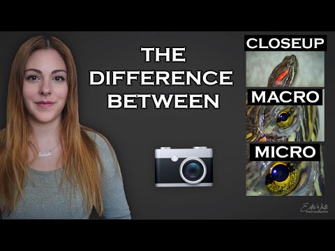 What is the Difference Between Closeup, Macro & Micro? Explained Simply | Macro Photography