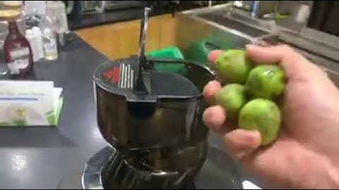 Máy ép chậm Promix ép nguyên quả cóc