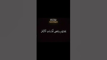 #القران_الكريم #المصحف #الشيخ_ياسر_الدوسري #اكسبلور ‎#تلاوة_جميلة #تلاوة_خاشعة