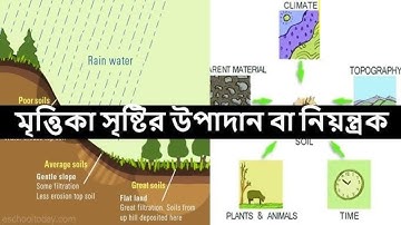 মৃত্তিকা সৃষ্টির প্রক্রিয়া | Process of soil formation