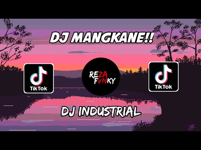 DJ MENGKANE - DJ INDUSTRIAL WOLFGANG REMIX VIRAL TERBARU 🎶🎶 class=