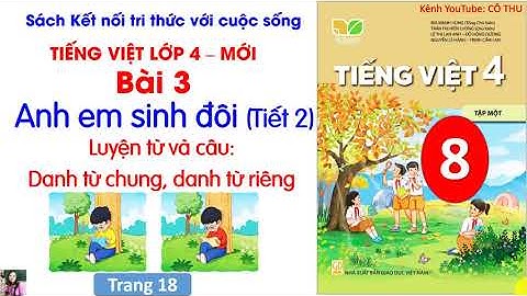 Bài 3: Anh em sinh đôi |Tiết 2 Luyện từ và câu:Danh từ chung, danh từ riêng| Tiếng Việt 4 Kết nối|#8
