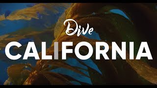 Scuba Diving in California