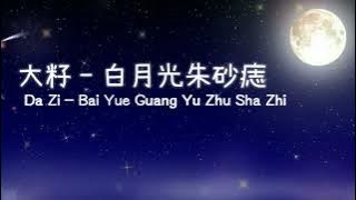 大籽 - 白月光与朱砂痣 歌词 | Da Zi - Bai Yue Guang Yu Zhu Sha Zhi Lirik Pinyin