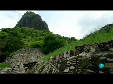 Video: Azafrán - El Rey De Las Especias