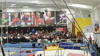 Olivia Burns - Dragon Invitational 2020 - Vault 1