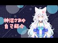 【自己紹介】初めまして!神沼さあやだ!【新人vtuber】