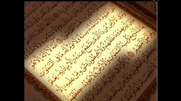 سورة التوبة الشيخ محمد ايوب صفحة ١٩٣