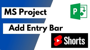 MS Project- Add Entry Bar